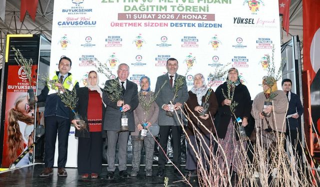 Büyükşehir'den Honazlı üreticiye 4 bin 236 zeytin fidanı
