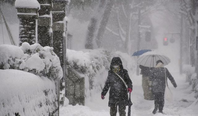 Japonya'daki kar fırtınasında ölü sayısı 46'ya yükseldi