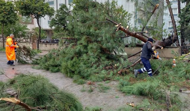 Efeler'de sağanak yağışın izleri Başkan Anıl Yetişkin'in koordinasyonuyla siliniyor