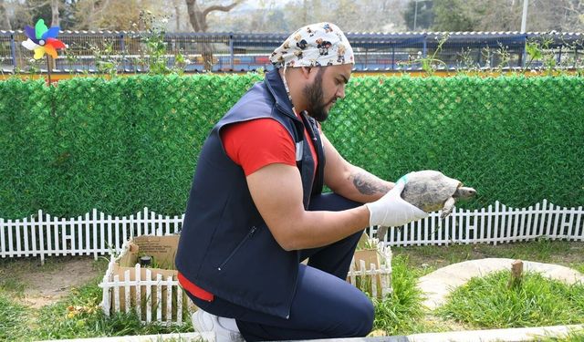 Evcil hayvan bakım ve rehabilitasyon merkezi'nin yeni sakinleri için özel yaşam alanı