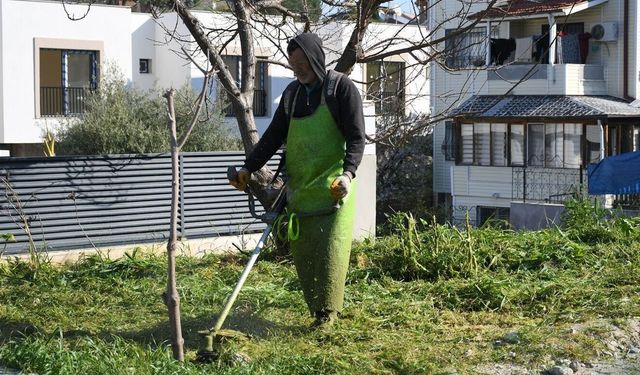 Kuşadası'nda yeşil alanlar ve sokaklar yenileniyor