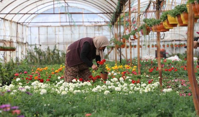 Muğla'da üretici kadınlar meclisi kuruluyor