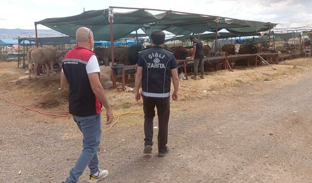Çiğli'de Kurban Bayramı denetimleri aralıksız sürüyor