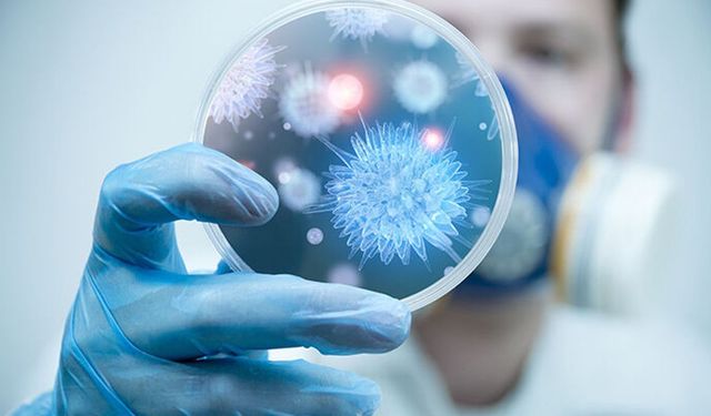 DSÖ uyardı : Ebola Salgınında can kaybı artıyor