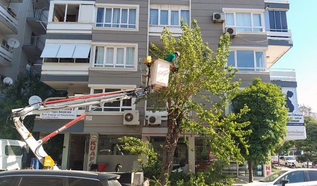 Efelerde kapsamlı bakım çalışmaları sürüyor