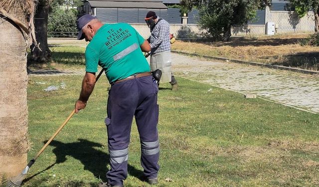 Efeler'in Yeşil Alanlarında Yaz Temizliği