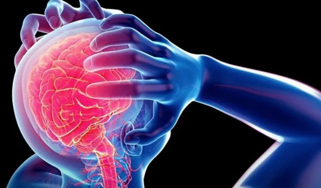Fransa'da aşırı sıcaklar can alıyor