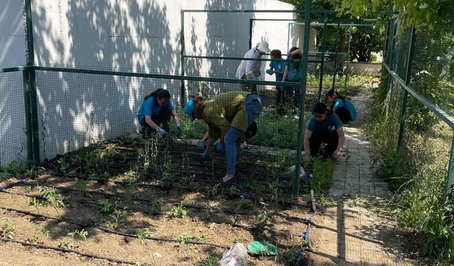 Öğrenciler kendi bitkilerini yetiştirecek