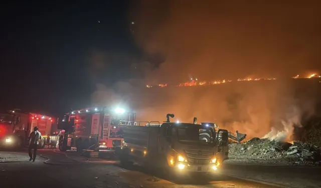 Bodrum'da çıkan yangın korkuttu