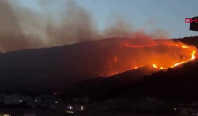 İzmir Çiğli'de otluk yangın: Hava desteği durdu