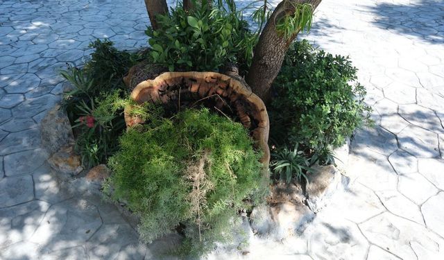 Pînaraltı Emekli Kafe'nin hazırlıkları son aşamada