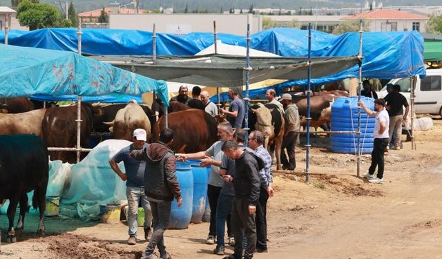 'Sürekli ithalat besiciyi bitirdi'