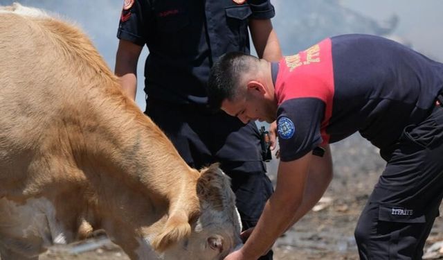 Yangın Sahasında Yürek Isıtan An