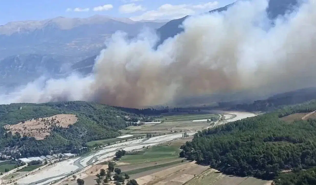 Diyarbakır'da örtü yangını ormana sıçradı