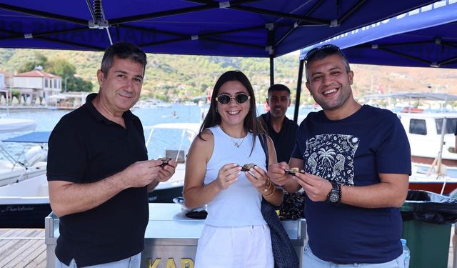 Festival heyecanına sayılı günler kaldı