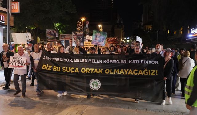 'İktidarın ortağı olup bizi tek biraktınız'