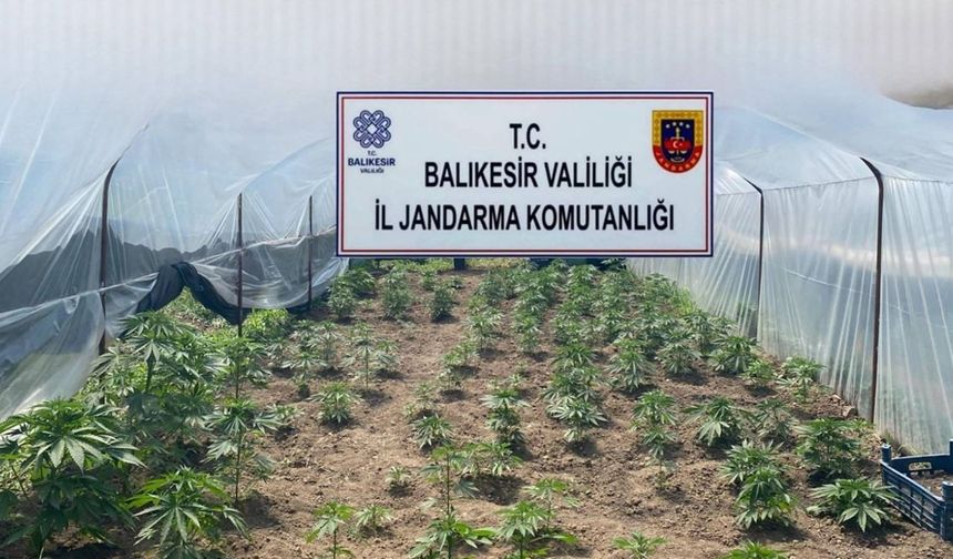 Balıkesir’de jandarmadan organize suçlara karşı geniş çaplı operasyon