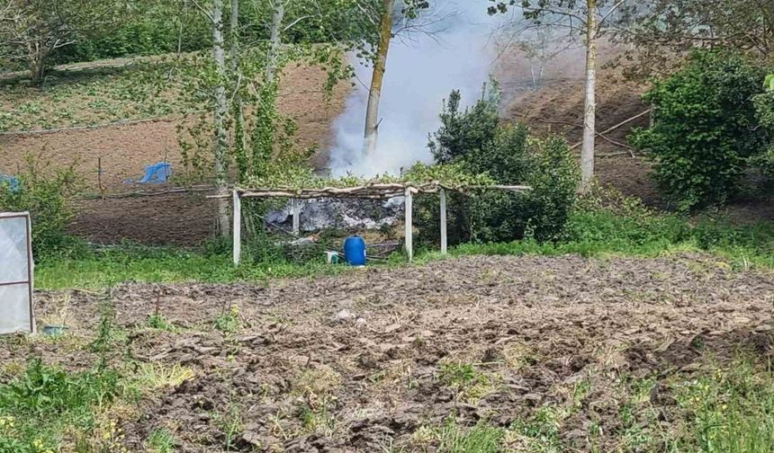 Sinop’ta tarlada yangın paniği