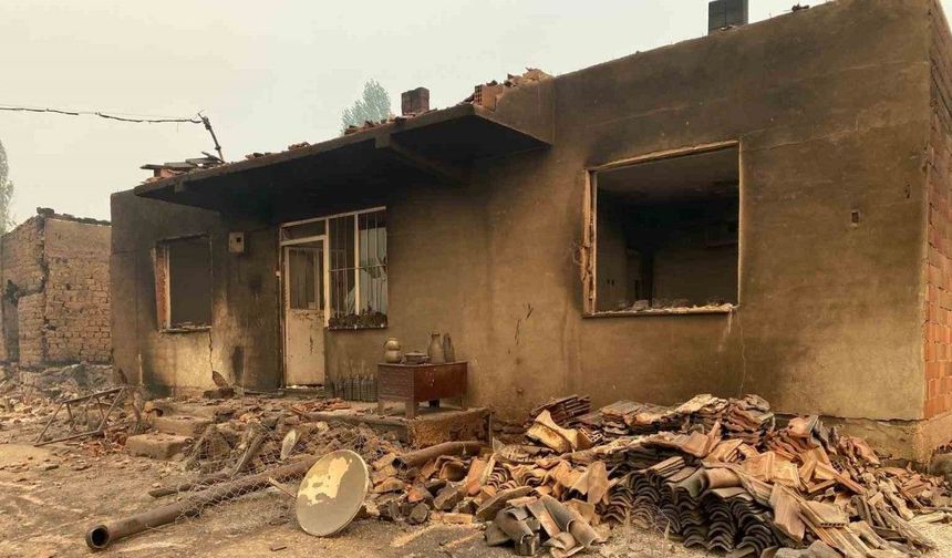 Bilecik’teki orman yangınında bir köy kül oldu