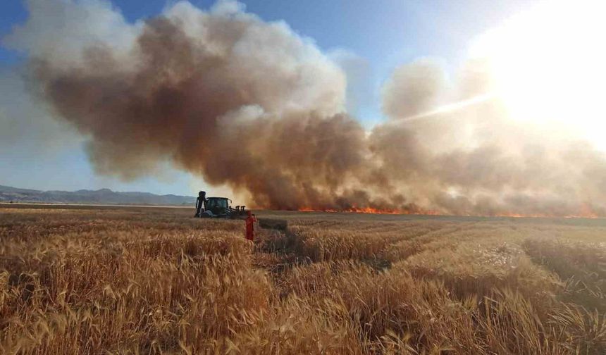 Bingöl’de onlarca dönüm ekili arazi küle döndü