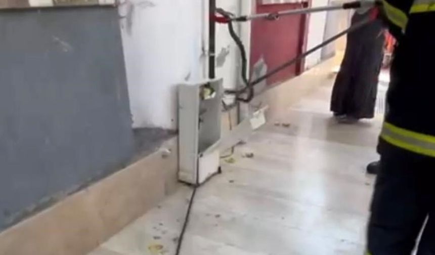Doğal gaz kutusuna giren yılan doğal ortamına bırakıldı