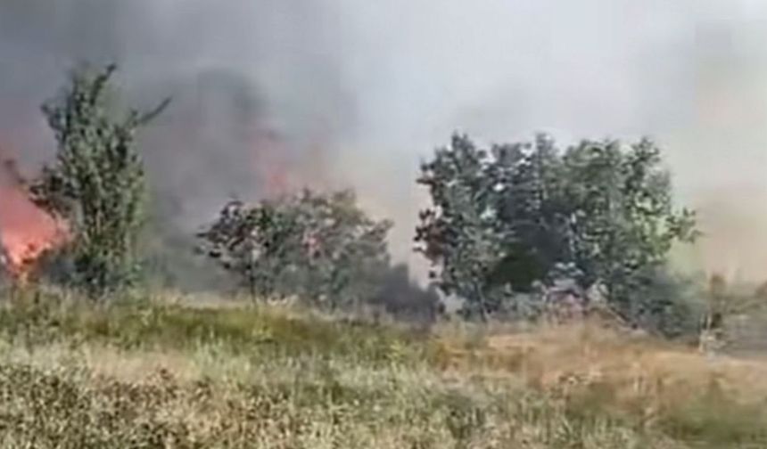 Düzce’de orman yangını: 5 hektarlık alan küle döndü
