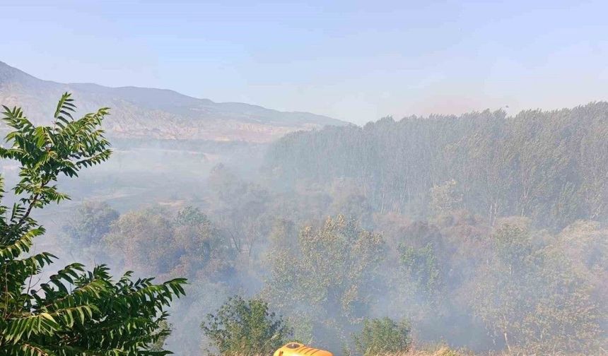 Eskişehir’de ağaçlık alanda yangın: Alevler okul lojmanına sıçradı