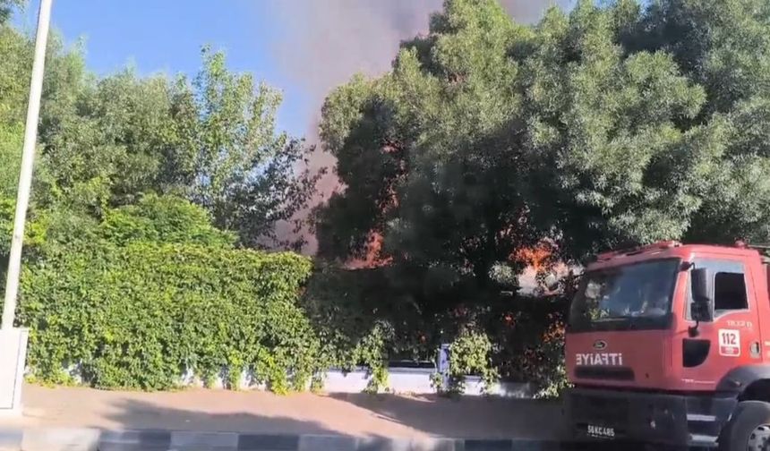 Siirt’te yanan işletme küle döndü