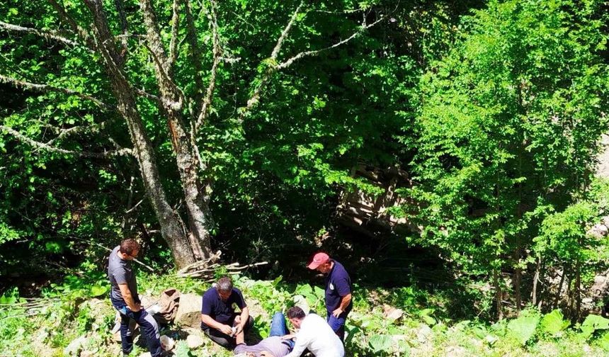 Zonguldak’ta 80 metreden şarampole devrilen otomobildeki 3 kişi yaralandı