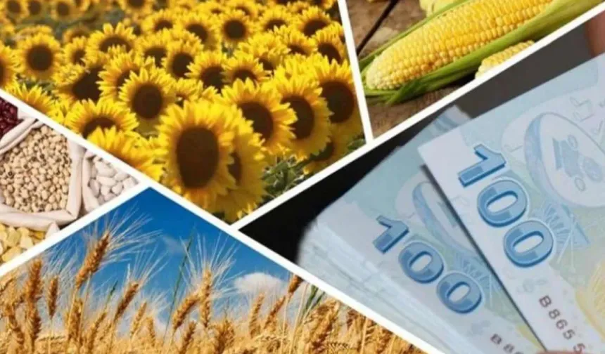 Çiftçilere 1,7 milyar TL’lik destek ödemesi hesaplarda