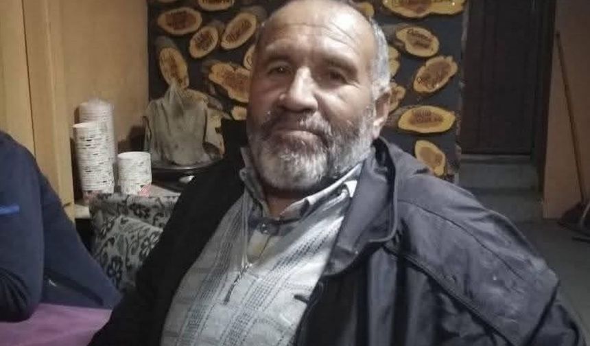 Ormanda kestiği ağaç üzerine devrilen orman işçisi hayatını kaybetti