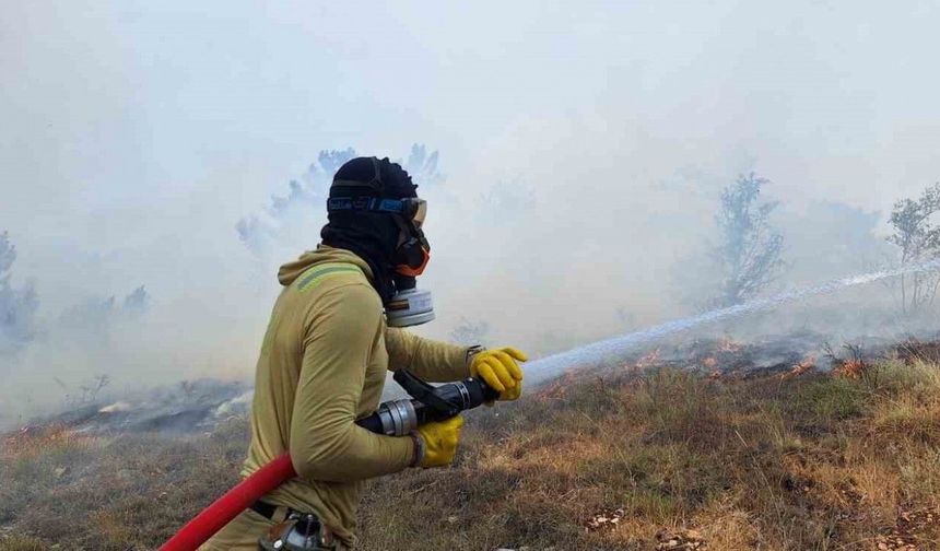 Bolu’da çıkan orman yangını kontrol altına alındı