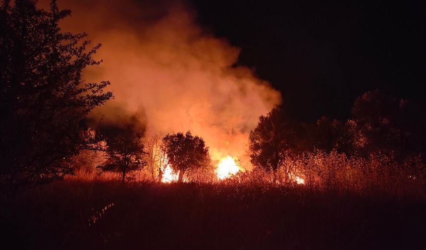 174 hektarı kül eden yangında ihmal zinciri