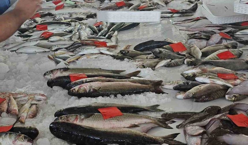 Ege'de fırtına balıkçıları limana bağladı: Fiyatlar kısa süreli yükselebilir