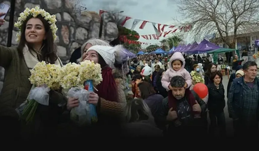 Karaburun Nergis Festivali Başlıyor