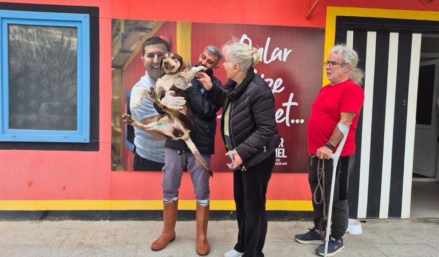 Sevgi kazandı: 'Lady' mutlu sona ulaştı