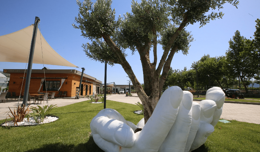 Efes Selçuk'ta mantar yetiştiriciliği