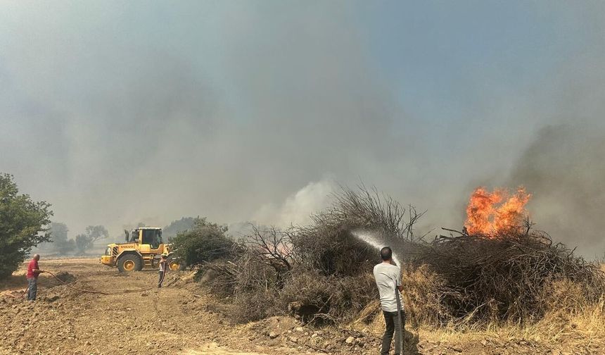 Foça-Aliağa arasında çıkan yangın için seferber oldular