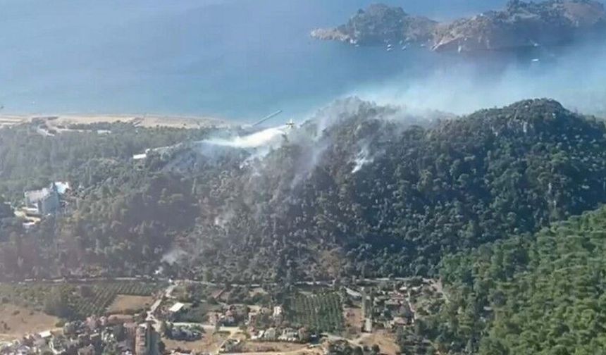 Orman yangınlarında 15 kişi tutuklandı