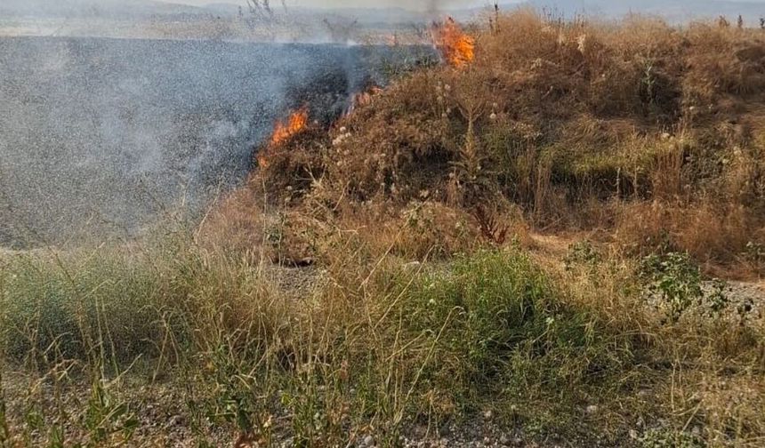 Şuhut'ta anız yangını paniğe neden oldu