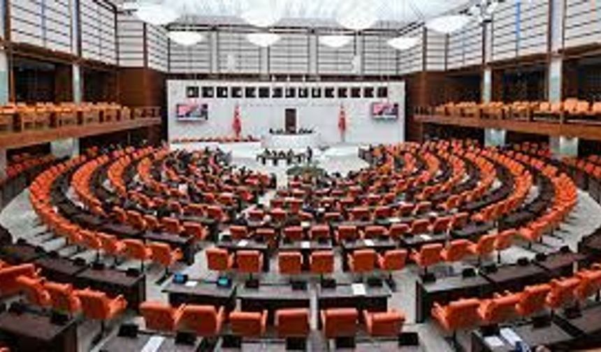 TBMM'de çerçeve yasanın maddelerine geçildi