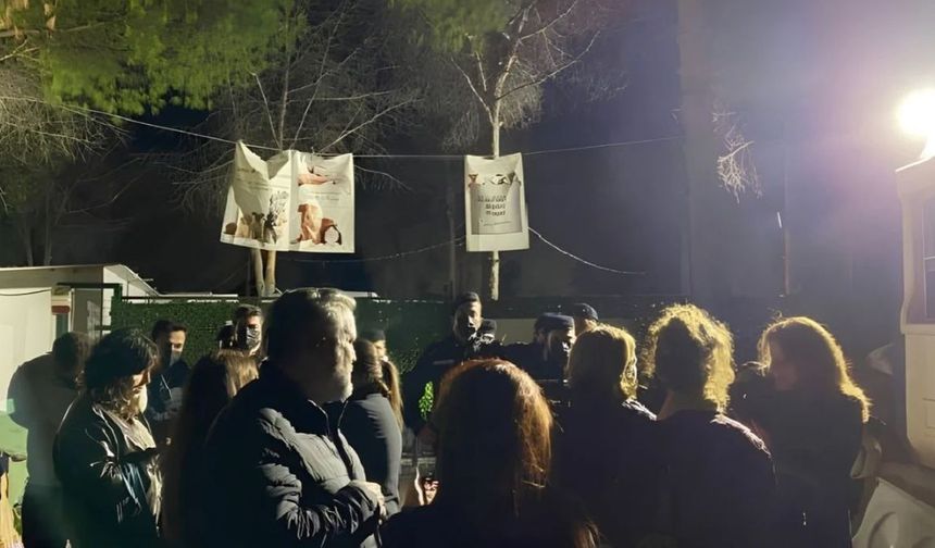 Ege Üniversitesi'nde gece baskını: 200 köpek toplandı