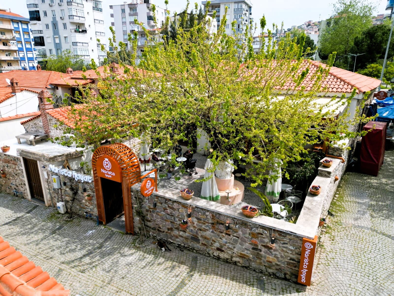 Narista (3) (1)