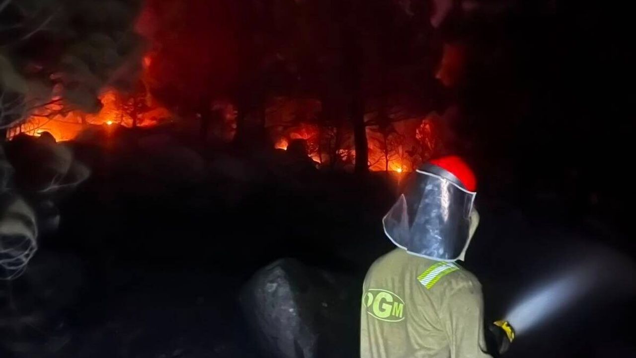 Balıkesir'de 6 bin 733 hektar alan zarar gördü